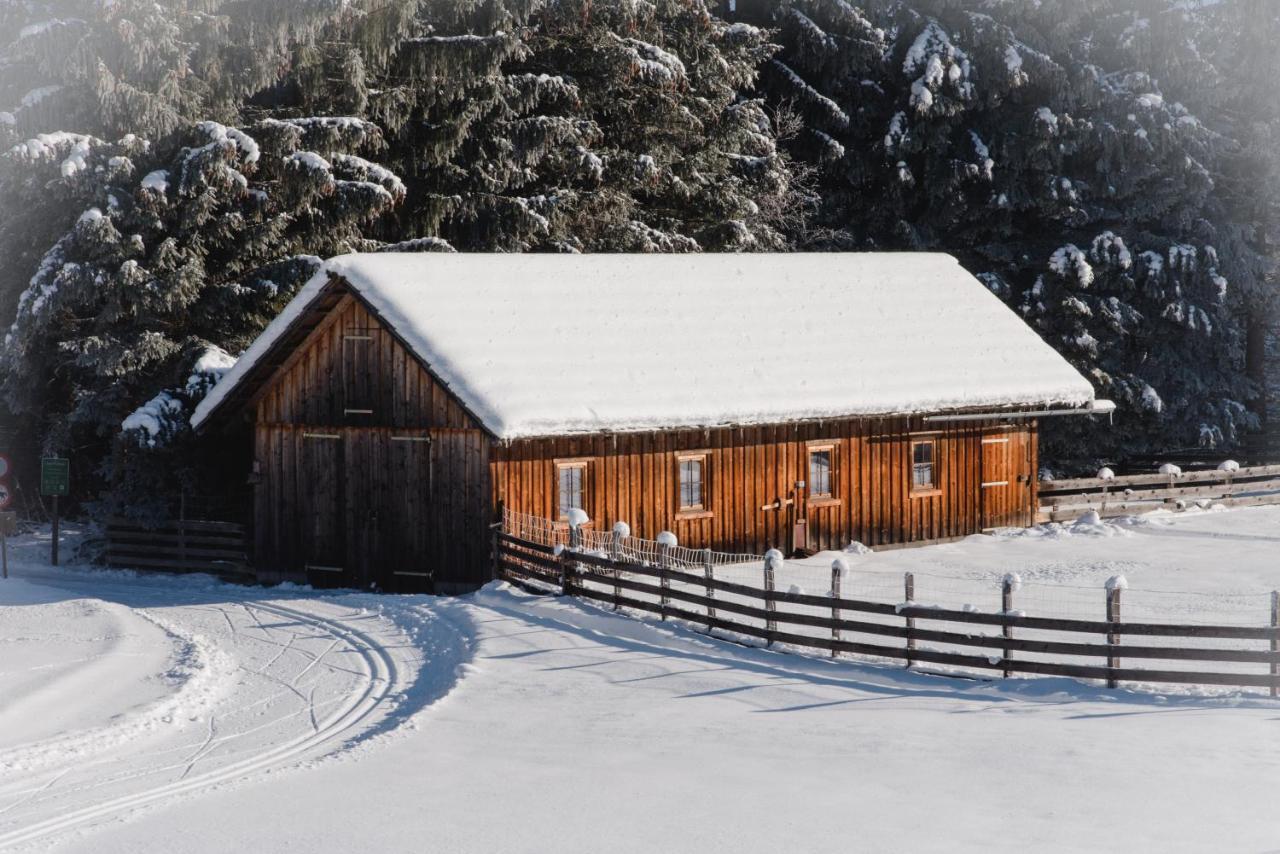 Ferienparadies Wiesenbauer St. Michael im Lungau Zewnętrze zdjęcie