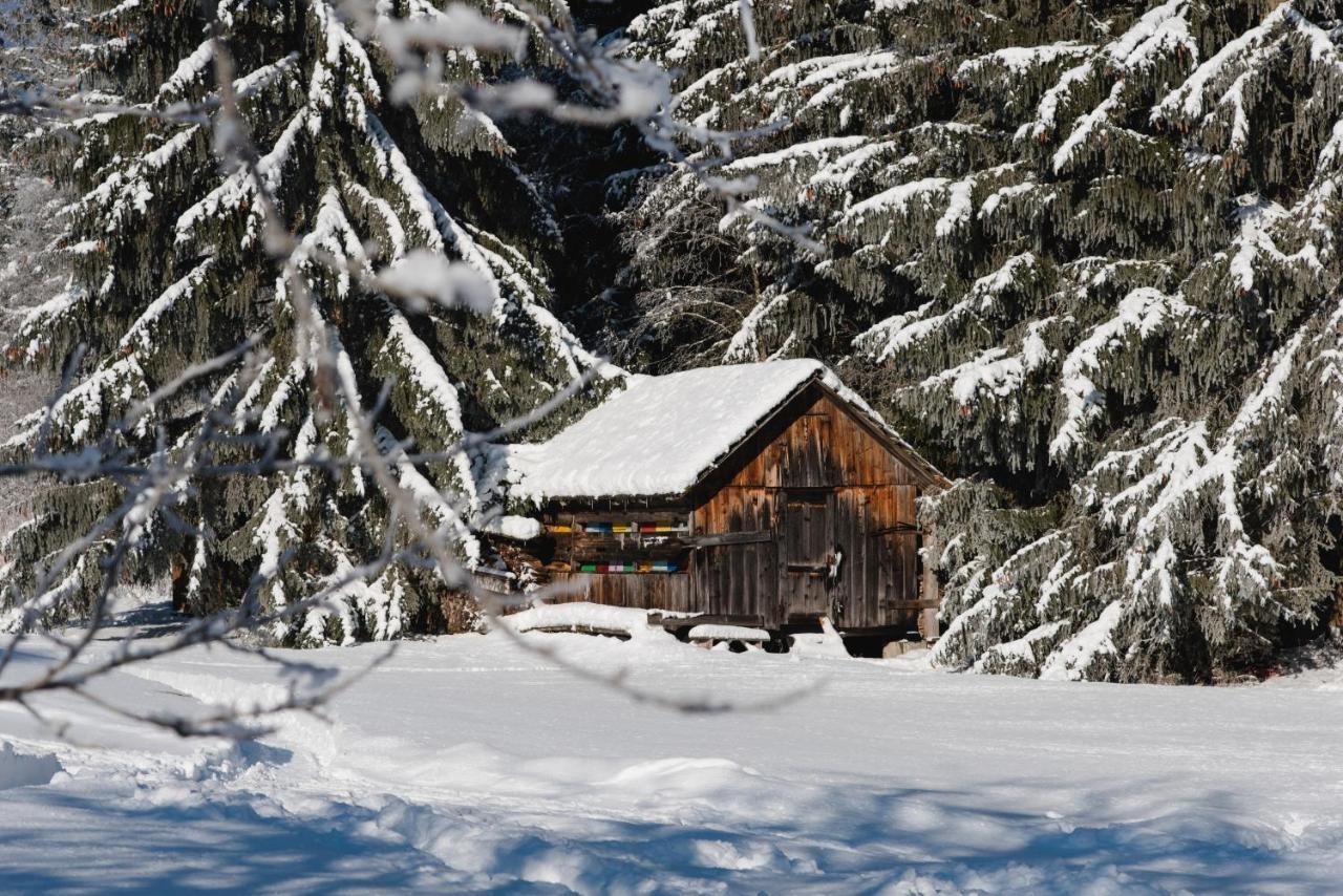 Ferienparadies Wiesenbauer St. Michael im Lungau Zewnętrze zdjęcie